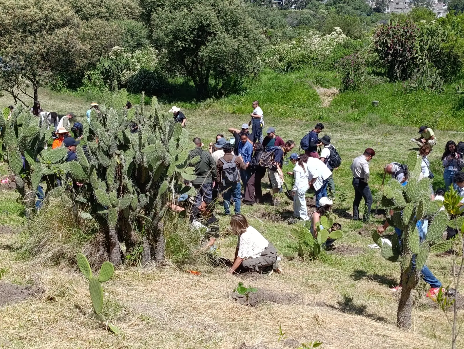Grupo de personas en un terreno con nopales, árboles y vegetación.