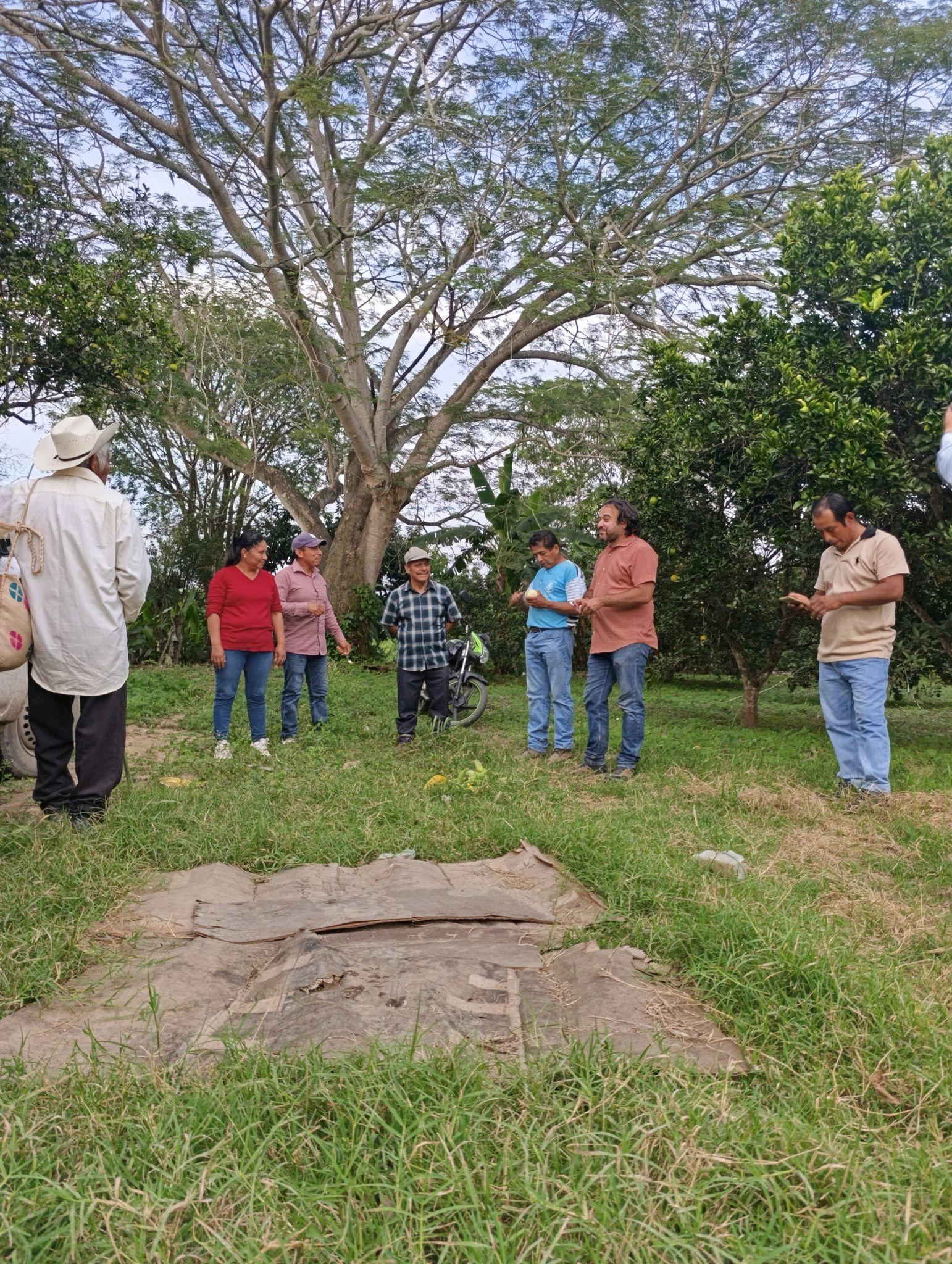 Participantes en una sesión de Genera Territorios al aire libre