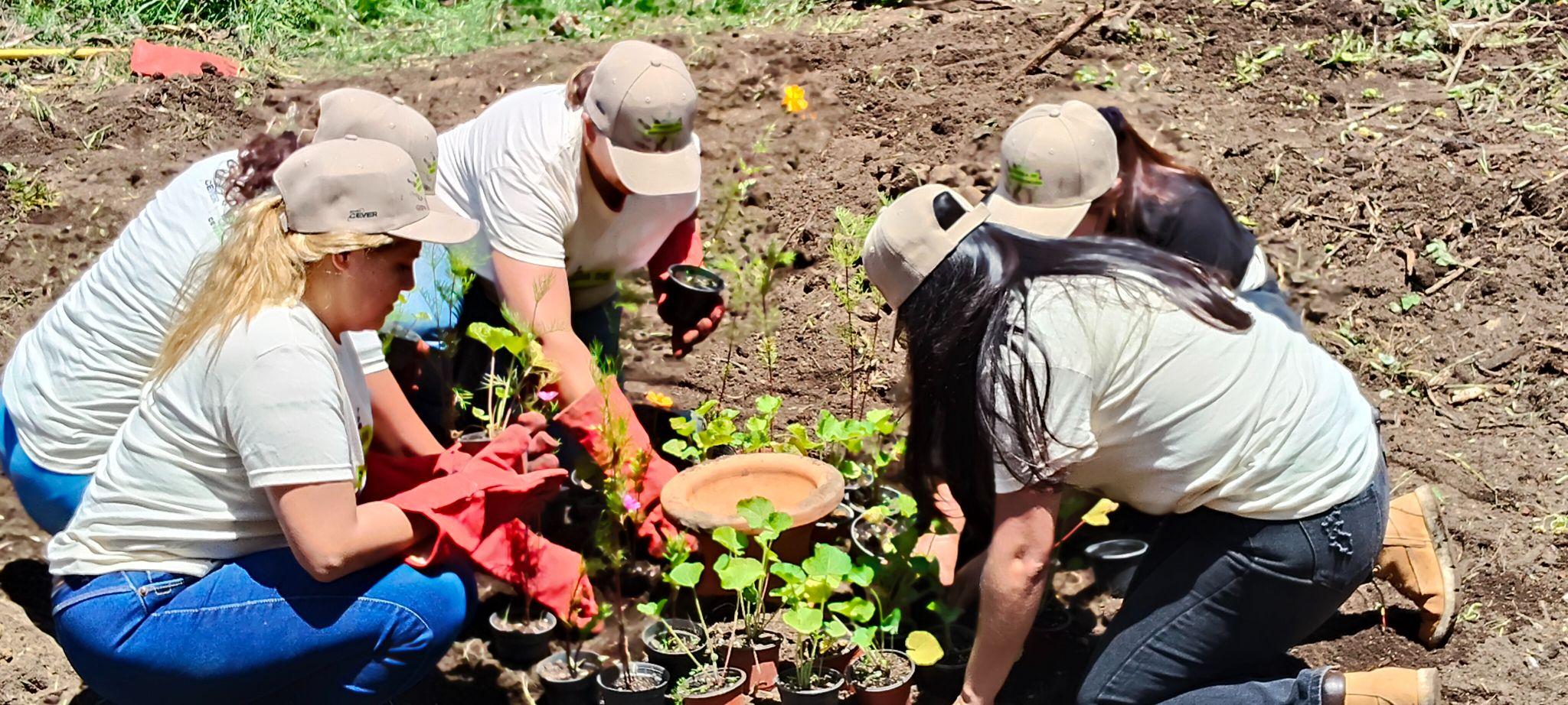Participación comunitaria en una acción regenerativa